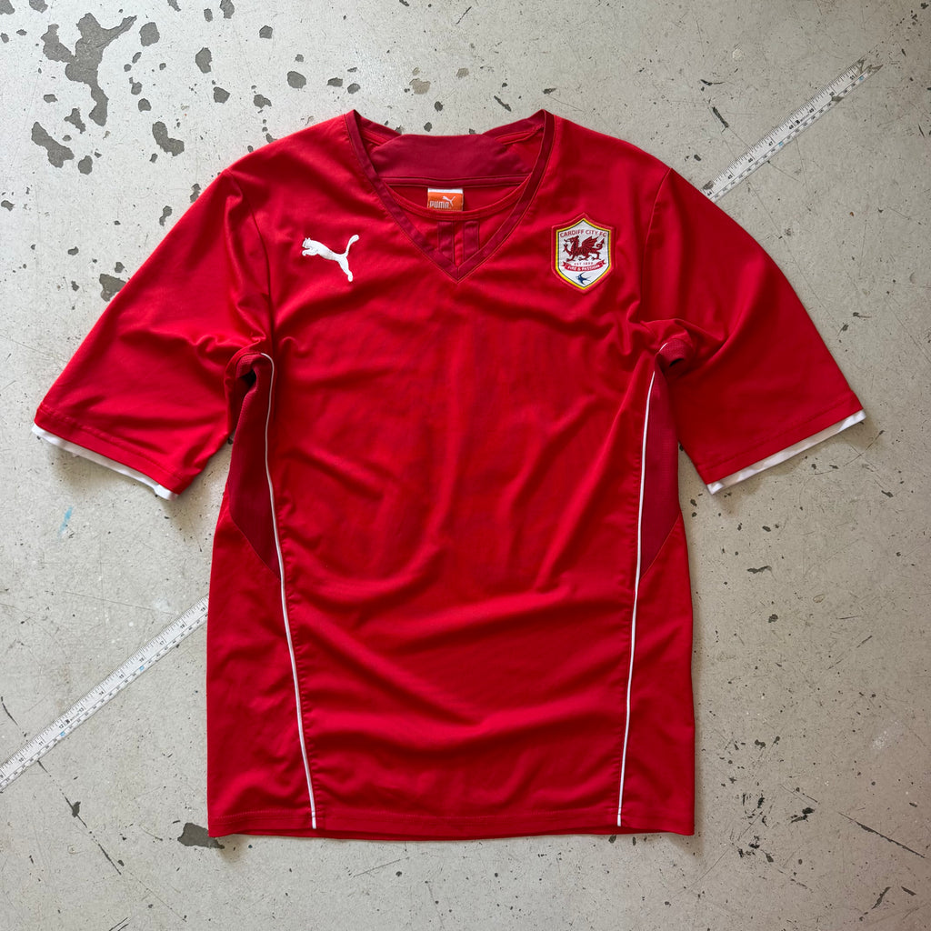 Cardiff City | 2013/14 | Hjemmebanetrøje | M