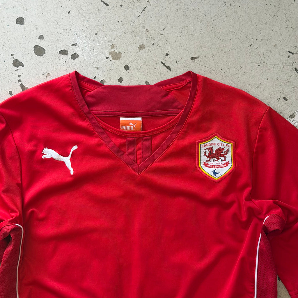 Cardiff City | 2013/14 | Hjemmebanetrøje | M