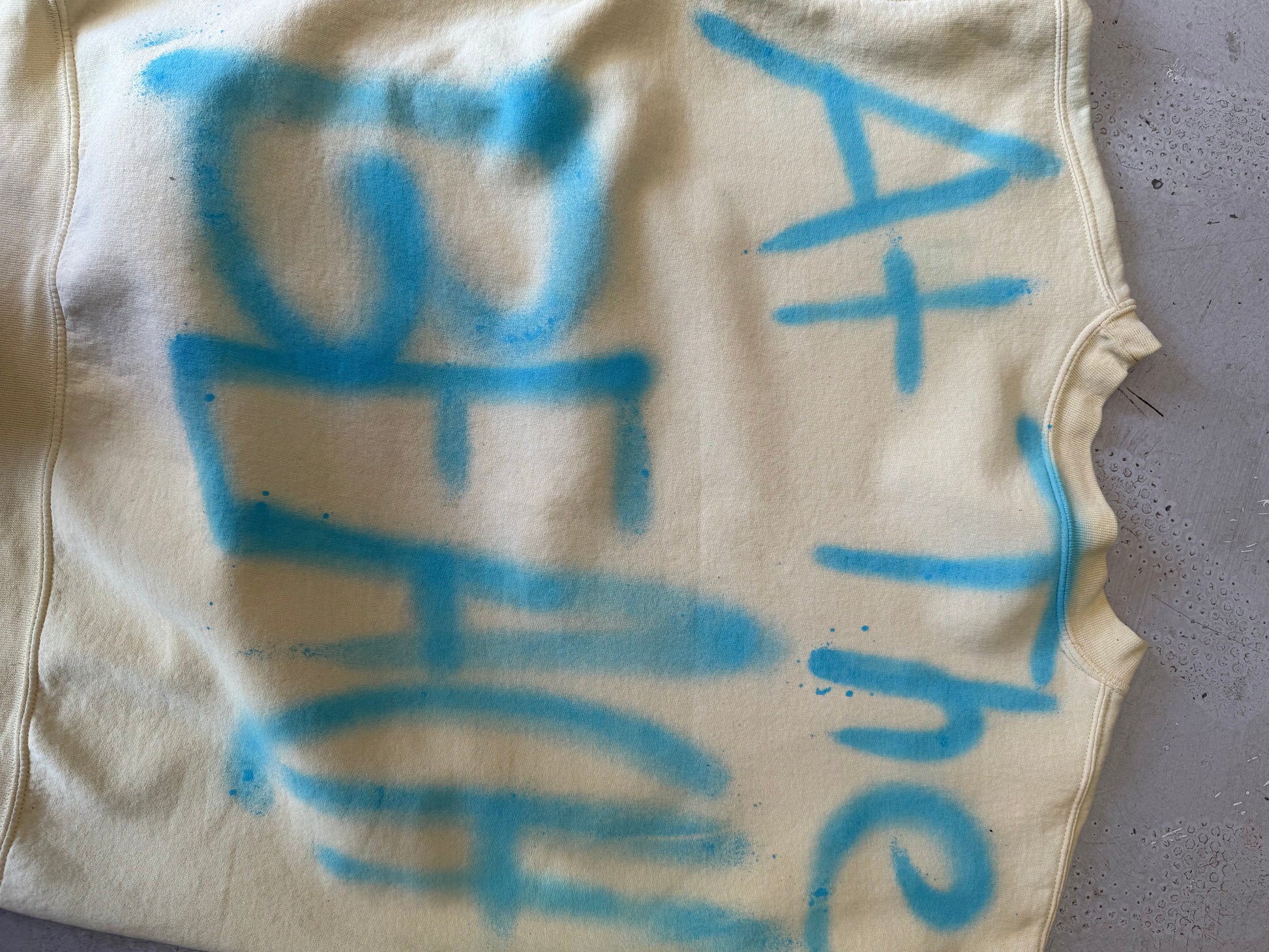 Crewneck| Spraypaint | lysegul | Large - Re:Junk Vintage